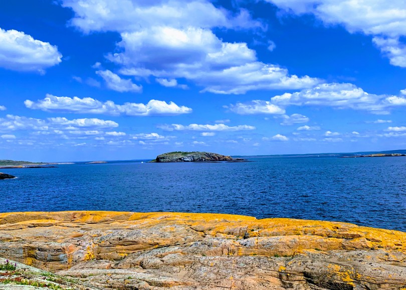 kronisk utmattelsessyndrom